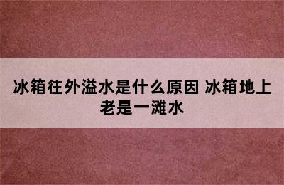 冰箱往外溢水是什么原因 冰箱地上老是一滩水